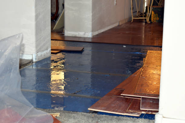 Professional Water Damage Restoration technician working in Savannah, TN